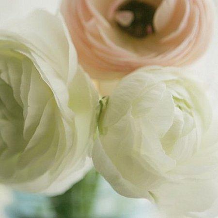 Inspirations printanières. il_570xN.133116299_large.jpg