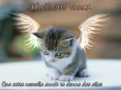 Happy New Year !!! Happy New Year !!!