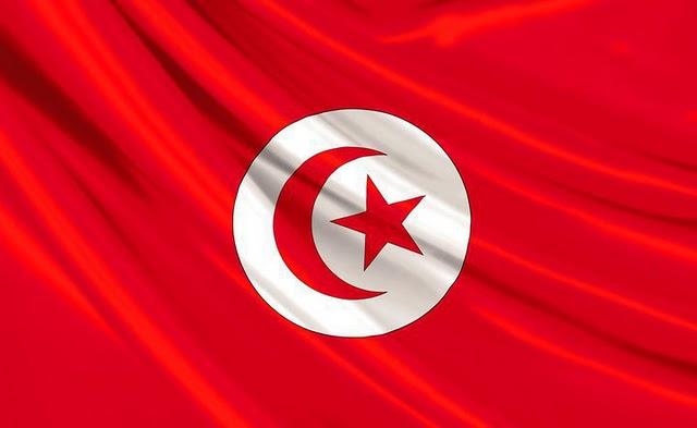 la révolution en Tunisie: 1ère Révolution grace au Web 2.0