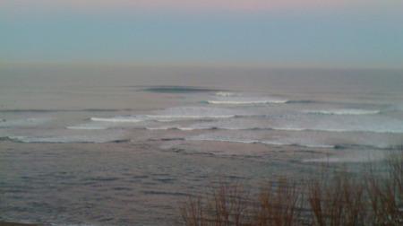 parlo Balinese training (or a sort of…)