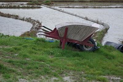 Les marais salant en hiver . Les marais salant en hiver .