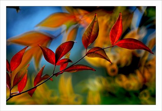 Palette gourmande Philippe Ibars Jardins de la Fontaine IBA_9355.jpg