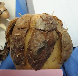 L'art et la pomme de terre L'art et la pomme de terre