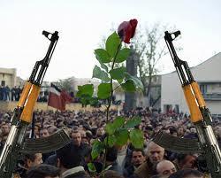 rose LES REVOLUTIONS ET LEURS SYMBOLES