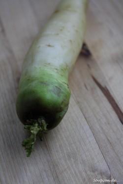Potage de potimarron - pâtisson & carotte blanche Carotte blanche à collet vert.jpg