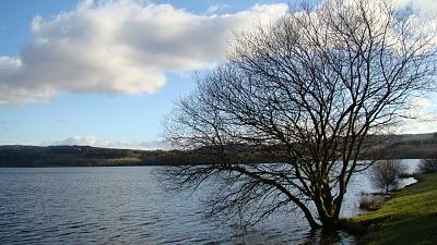 Le lac du Drennec