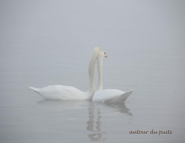 SANS COMMENTAIRES SANS COMMENTAIRES