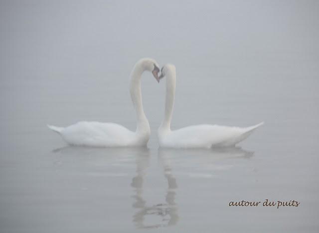 SANS COMMENTAIRES SANS COMMENTAIRES