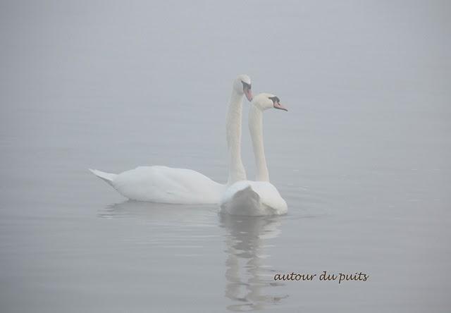 SANS COMMENTAIRES SANS COMMENTAIRES