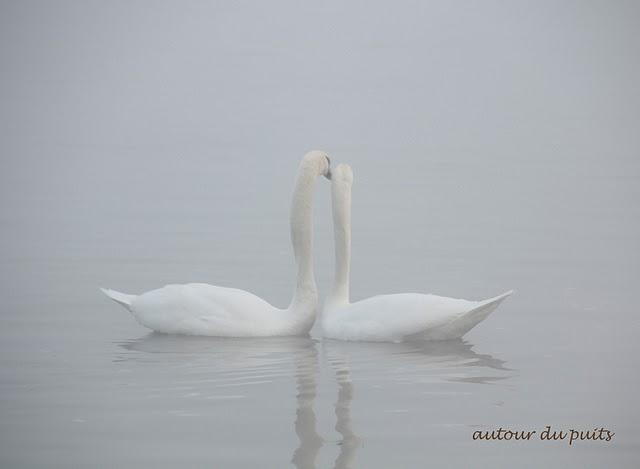 SANS COMMENTAIRES SANS COMMENTAIRES