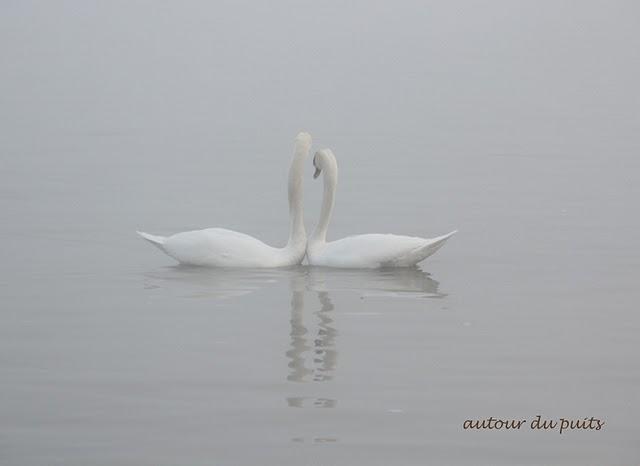 SANS COMMENTAIRES SANS COMMENTAIRES