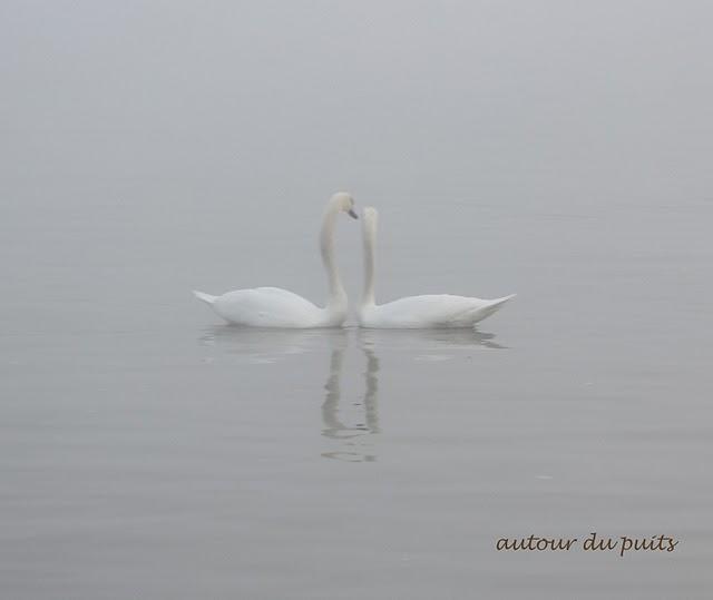 SANS COMMENTAIRES SANS COMMENTAIRES