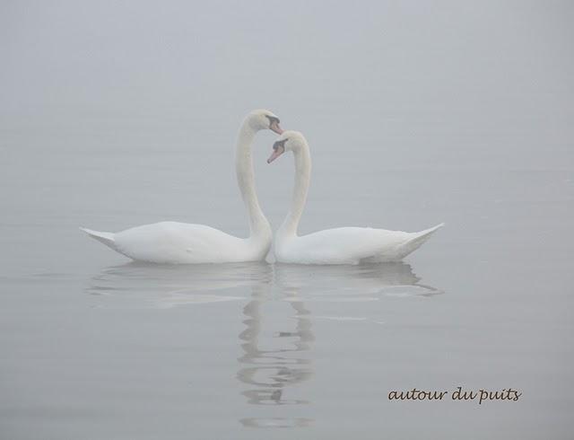 SANS COMMENTAIRES SANS COMMENTAIRES