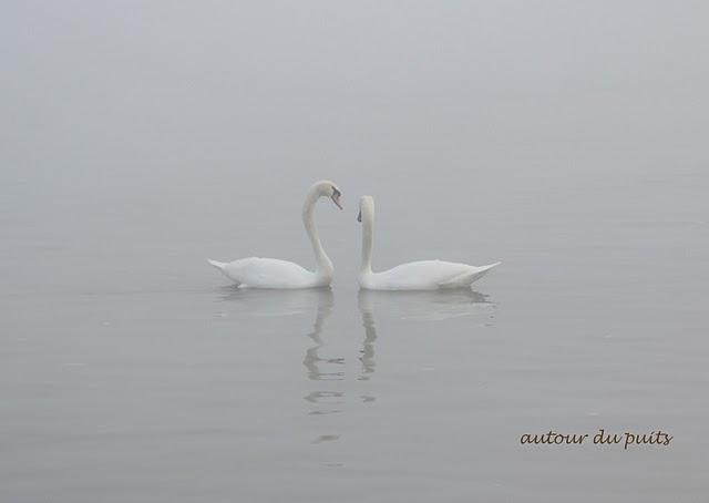 SANS COMMENTAIRES SANS COMMENTAIRES