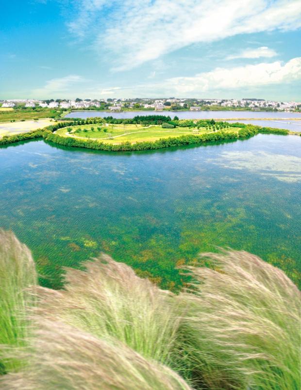 b6a38db8-f985-4677-9e75-ddfab8426300_134 b6a38db8-f985-4677-9e75-ddfab8426300_134