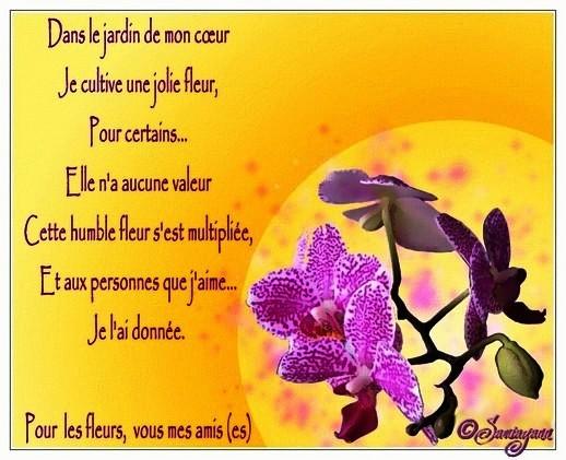 Déjeûner simple des jours maigres et paresseux Déjeûner simple des jours maigres et paresseux