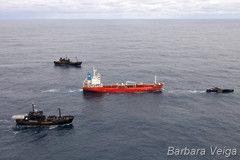 La flotte baleinière japonaise rame et attaque la falaise news_110113_1_2_Holding_the_course_0422_thumb