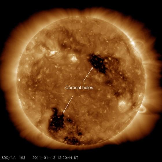 Cor_hole_label trous coronaux