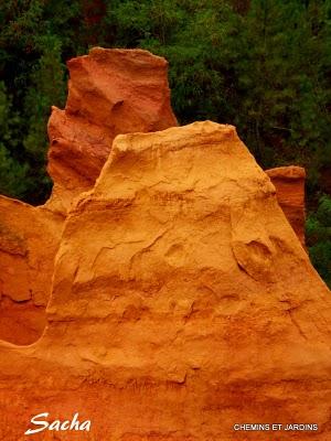 Risotto de petit épeautre , La vallée des Ocres Risotto de petit épeautre , La vallée des Ocres