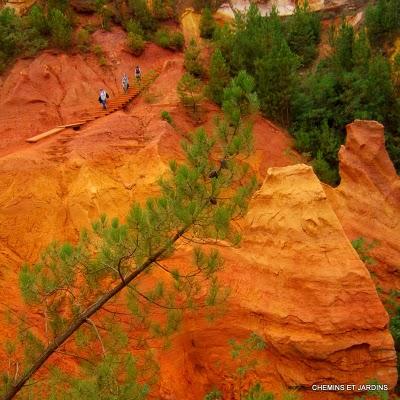 Risotto de petit épeautre , La vallée des Ocres Risotto de petit épeautre , La vallée des Ocres