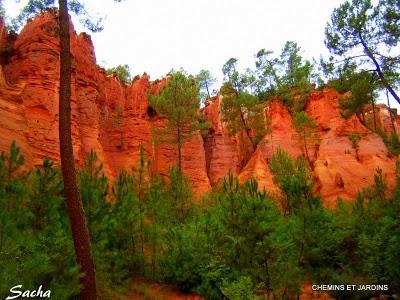 Risotto de petit épeautre , La vallée des Ocres Risotto de petit épeautre , La vallée des Ocres