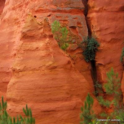 Risotto de petit épeautre , La vallée des Ocres Risotto de petit épeautre , La vallée des Ocres