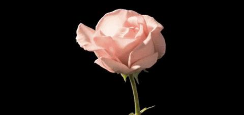 la philo lyophilisée la philo lyophilisée