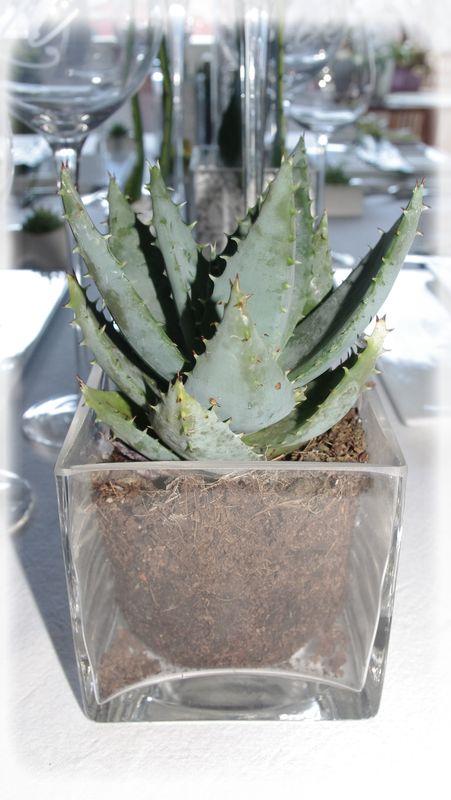 Envie de table_zen_016_modifi__1