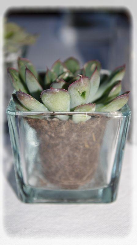 Envie de table_zen_008_modifi__1