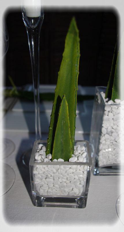 Envie de table_zen_021_modifi__1