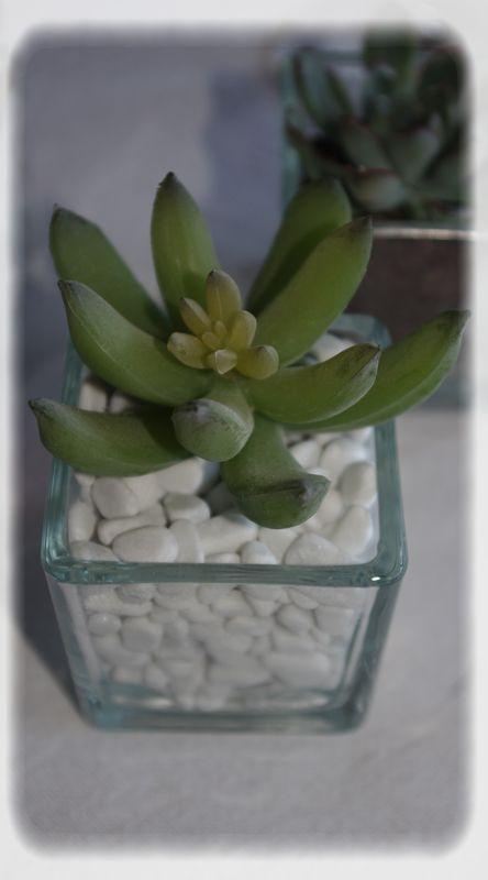 Envie de table_zen_062_modifi__1