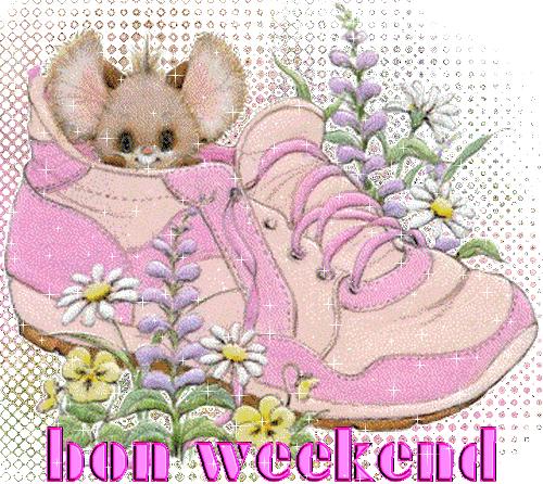 Bon week end et un petit vote pour nos concours bon_week_end_souris_chaussure