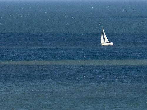 Face à l'océan 5081458623_f3a2206fdd.jpg