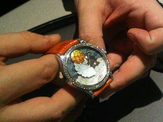 Vca sihh Vca sihh