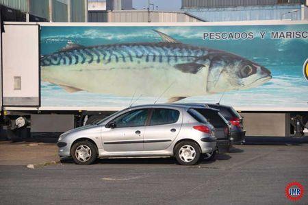 prends ton camion Maquereau_sur_le_toit