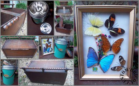 2011 et toujours pas soignée ! Chine_du_25_janvier_2011_montage