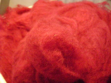 Teinture de toison DSC08236