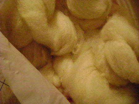 Teinture de toison DSC08237