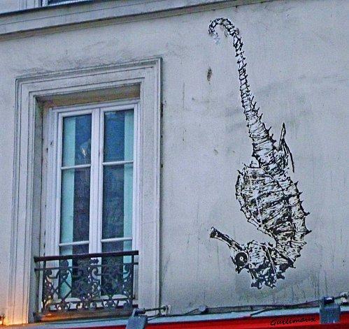 Hippocampe Hippocampe.jpg