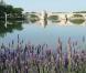   Avignon et alentours, France          Avignon, son fameux pont de Saint-Bénezet, son Palais des Papes ou encore son festival aujourd'hui mondialement connu ! Mais Avignon, ce n'est pas seulement ses monuments et ses évènements culturels. Découvrez aussi sa cuisine provençale et ses vins de qualité ! Un week-end romantique et gastronomique, c'est donc possible ! Ne vous limitez pas seulement à cette ville. De nombreux villages sont également à découvrir. Des balades au calme où seules les pensées de votre cher et tendre seront au coeur de vos préoccupations journalières...        Où dormir ?  Pour vous faire réveiller en douceur par le chant des petits oiseaux, logez dans une cabane nichée dans un arbre. Située à 5 mètres du sol, cette chambre vous coupe du monde et vous offre tout le confort dont vous avez besoin. En prime, une jolie terrasse pour des petits-déjeuners savoureux ! Plus d'informations sur  www.lepavillonvert.com  