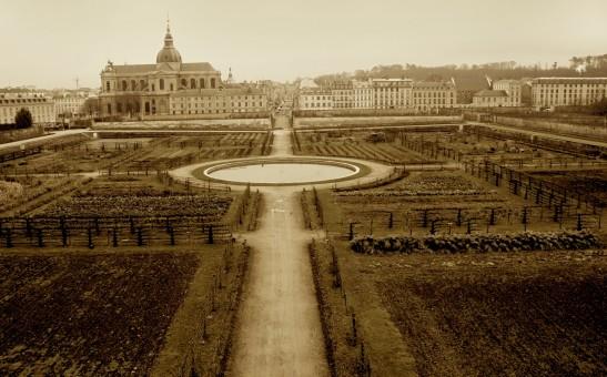 .LePotagerDuRoi De l’acclimatation de l’abricot en France…