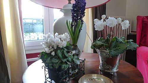 hyacinthe.jpg