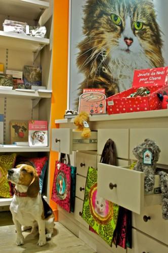 moustaches-magasins-interieur-hotel-20ph-design-paris Moustaches : une boutique qui a du chien !