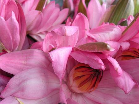 De retour !! derniers_jours_022