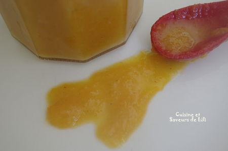 Compote du soleil IMGP1747