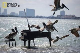 Un déchet qui a du coffre Un déchet qui a du coffre