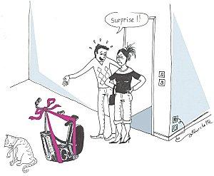 Ma wish list pour 2011 cadeau_regime_colere.jpg