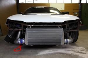 28-01-2011_redim_0024 Toujours en vie …