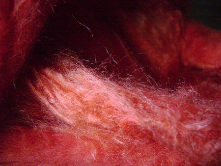 Des couleurs ! la teinture de laine DSC08247