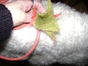 Des couleurs ! la teinture de laine DSC08257